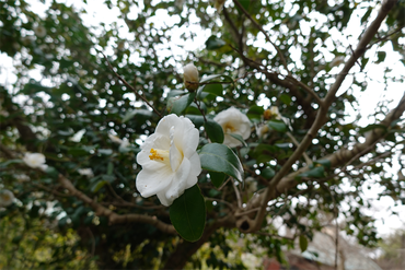 DSC05756_R