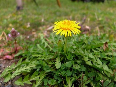 DSCF1515_R
