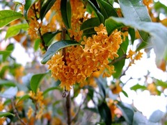 DSCF9828_R