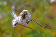 DSCF8156_R