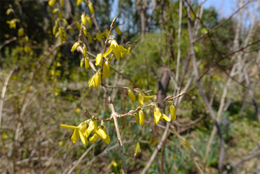 DSC05913_R