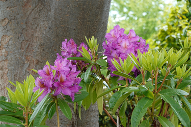 DSC07546_R