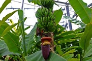 DSCF2682_R