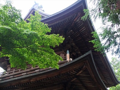 DSCF5264_R