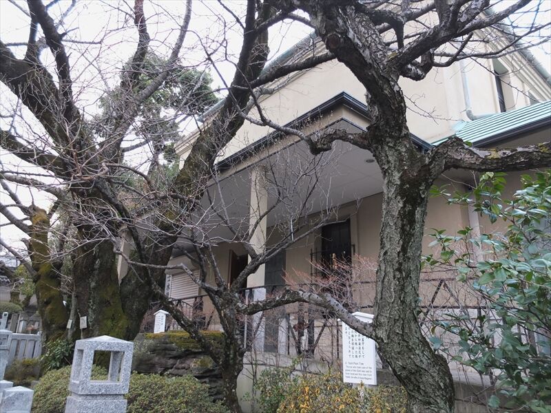 藍川京 の部屋 港区高輪 泉岳寺 2 四十七士墓所の手前 Livedoor Blog ブログ 藍川京 の部屋 港区高輪 泉岳寺 2 四十七士墓所の手前 Livedoor Blog ブログ