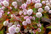 DSCF6900_R