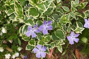 DSCF0735_R