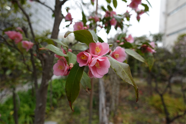 DSC05800_R