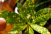 DSCF0476_R