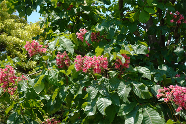DSC07198_R
