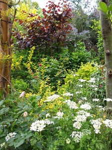 DSCF2577_R