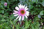 DSCF3514_R