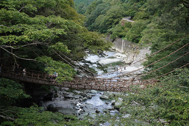 DSC09392 (1)_R