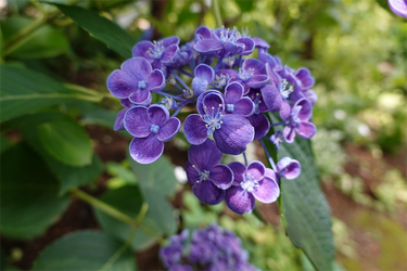 DSC08489_R