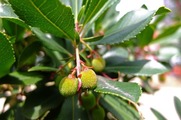 DSCF2416_R