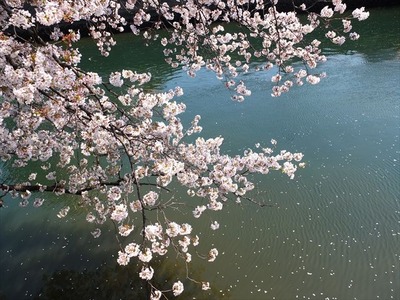 DSCF8245_R