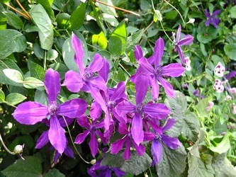 DSCF8164_R