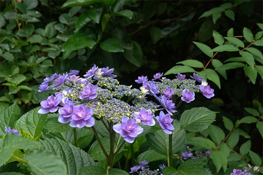 DSC08062_R