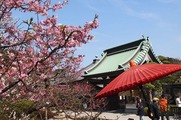 DSCF9306_R