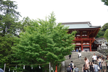 DSC08674_R