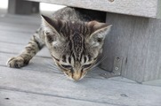 DSCF4190_R