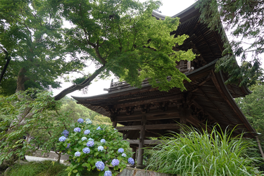DSC08642_R