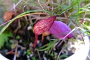 DSCF6157_R
