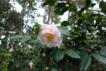 DSC06091_R