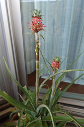 DSC08257_R