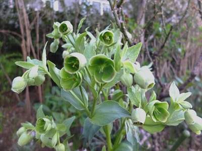 DSCF4717_R