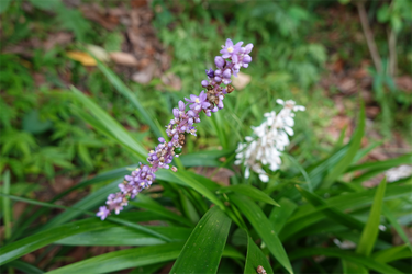 DSC02809_R