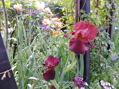 DSCF2859_R