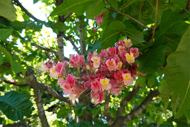 DSC07197_R