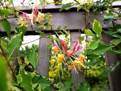 DSCF2539_R