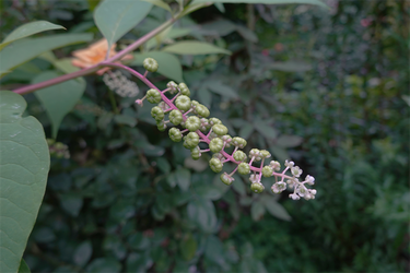 DSC08928_R
