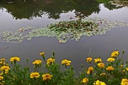 DSCF3848_R