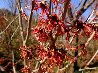 DSCF8246_R