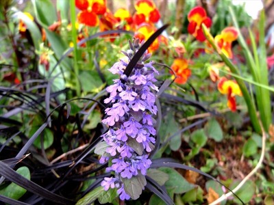 DSCF5044_R