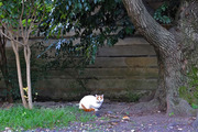 DSCF8621_R