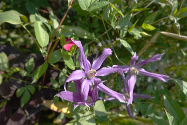 DSC08812_R