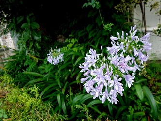 DSC01122_R - ���ԡ�