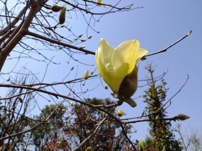 DSCF7864_R
