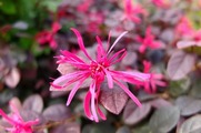DSCF5841_R
