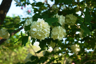 DSC06765_R