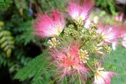 DSCF4622_R