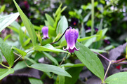 DSCF3199_R