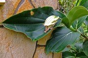 DSCF2679_R