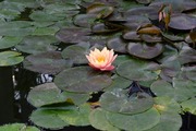 DSCF9125_R