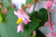 DSCF5425_R