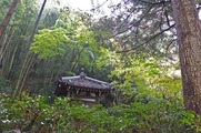 DSCF7413_R